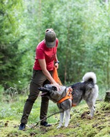 Damen Hose Finnveden Hybrid, Pinewood