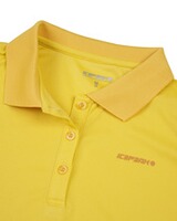 Damen Poloshirt Bayard, ICEPEAK
