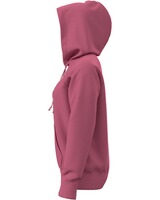 Damen Hoodie Rival Shimmer, Under Armour