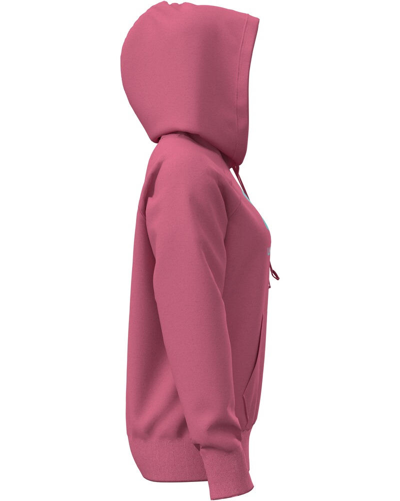Damen Hoodie Rival Shimmer, Under Armour