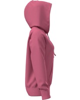 Damen Hoodie Rival Shimmer, Under Armour