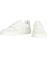 Sneaker Celeste, Barbour