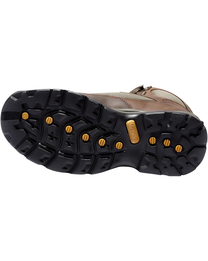Trekkingstiefel Chocorua, Timberland