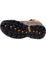 Trekkingstiefel Chocorua, Timberland