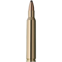 5,6x50 Mag. TLM 4,1g/63grs., RWS
