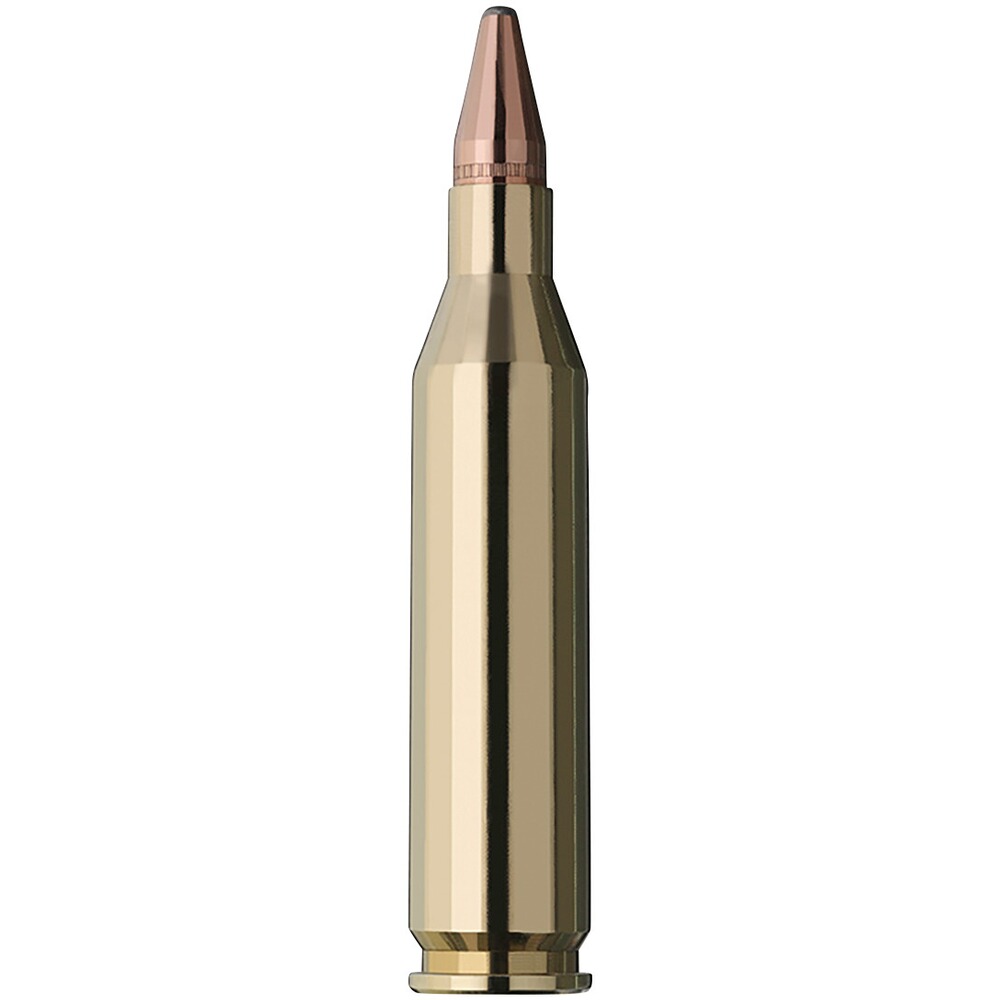 .243 Win. Kegelspitz 6,2g/96grs., RWS