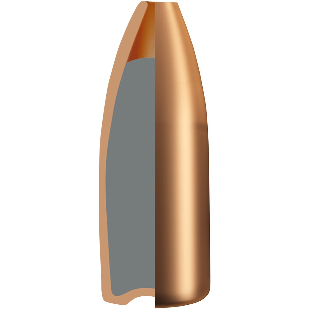.22 Hornet Match-Jagd 3,0g/46grs., RWS