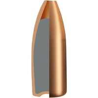 .22 Hornet Match-Jagd 3,0g/46grs., RWS