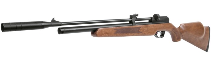 Luftgewehr Stormrider, Diana