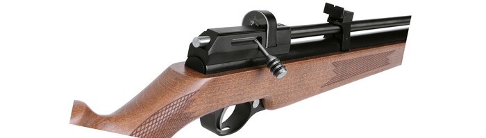 Luftgewehr Stormrider, Diana