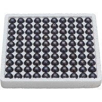Round balls professional - 100 pieces, Davide Pedersoli