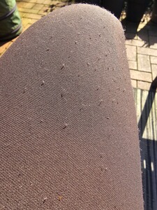 Bewertungsbild zu der Überschrift Hose zeigt leider nach kurzer Zeit ""Knüps" also Peelingknoten