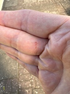 Bewertungsbild zu der Überschrift scharfen Kanten