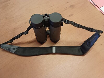 Bewertungsbild zu der Überschrift Es werde Licht