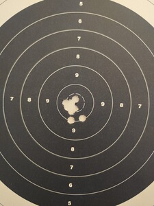 Bewertungsbild zu der Überschrift Topshot fliegt top!