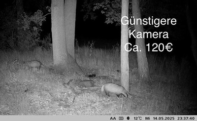 Bewertungsbild zu der Überschrift Preisleisleistung/Unzufrieden