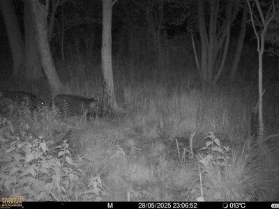 Bewertungsbild zu der Überschrift Preisleisleistung/Unzufrieden