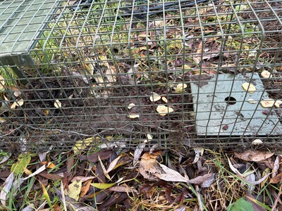 Bewertungsbild zu der Überschrift Nachdem ersten Fang defekt