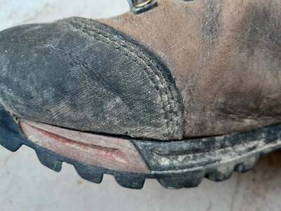 Bewertungsbild zu der Überschrift Enttäuschung pur