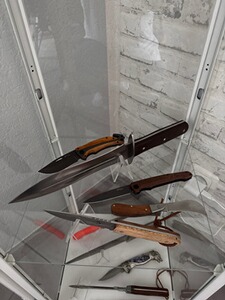 Bewertungsbild zu der Überschrift Zum sammeln