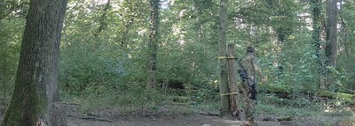 Bewertungsbild zu der Überschrift Infinity Forest!