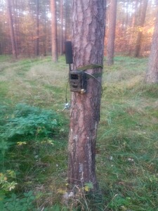 Bewertungsbild zu der Überschrift Seissiger wildkamera