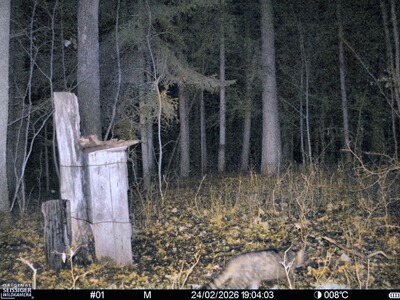 Bewertungsbild zu der Überschrift schnelle Lieferung, guter Service