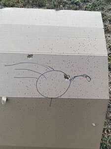 Bewertungsbild zu der Überschrift Zuverlässig