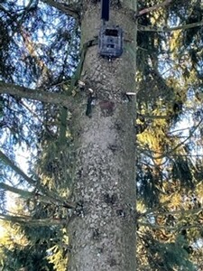Bewertungsbild zu der Überschrift Wildkamera Seissiger