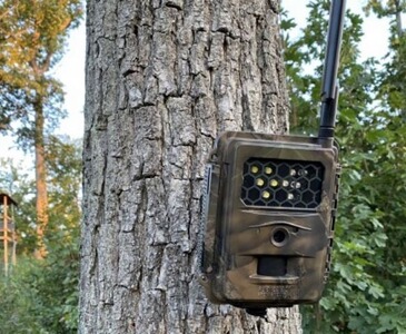 Bewertungsbild zu der Überschrift Hervorragende Wildkamera mit beeindruckenden Features