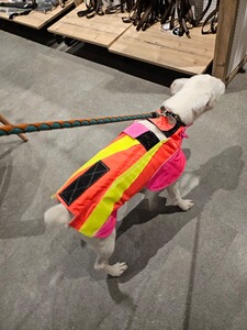 Bewertungsbild zu der Überschrift Tolle Weste super Service 55 Rüde