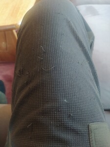 Bewertungsbild zu der Überschrift Bequem, aber für die Jagd ungeeignet!