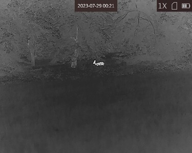 Bewertungsbild zu der Überschrift Vergleich mit Nachtsichtgerät