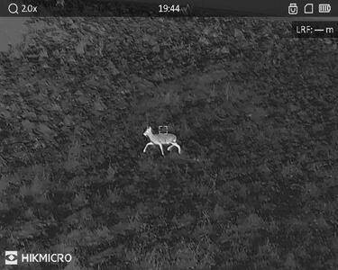 Bewertungsbild zu der Überschrift Guter Allrounder mit Super Features.