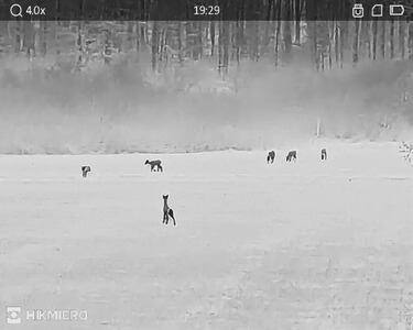 Bewertungsbild zu der Überschrift Guter Allrounder mit Super Features.