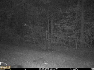 Bewertungsbild zu der Überschrift Tolle Wildkamera mit toller App zu fairen Preisen