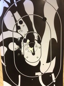 Bewertungsbild zu der Überschrift Meine CZ 75 TS ist sehr zufrieden