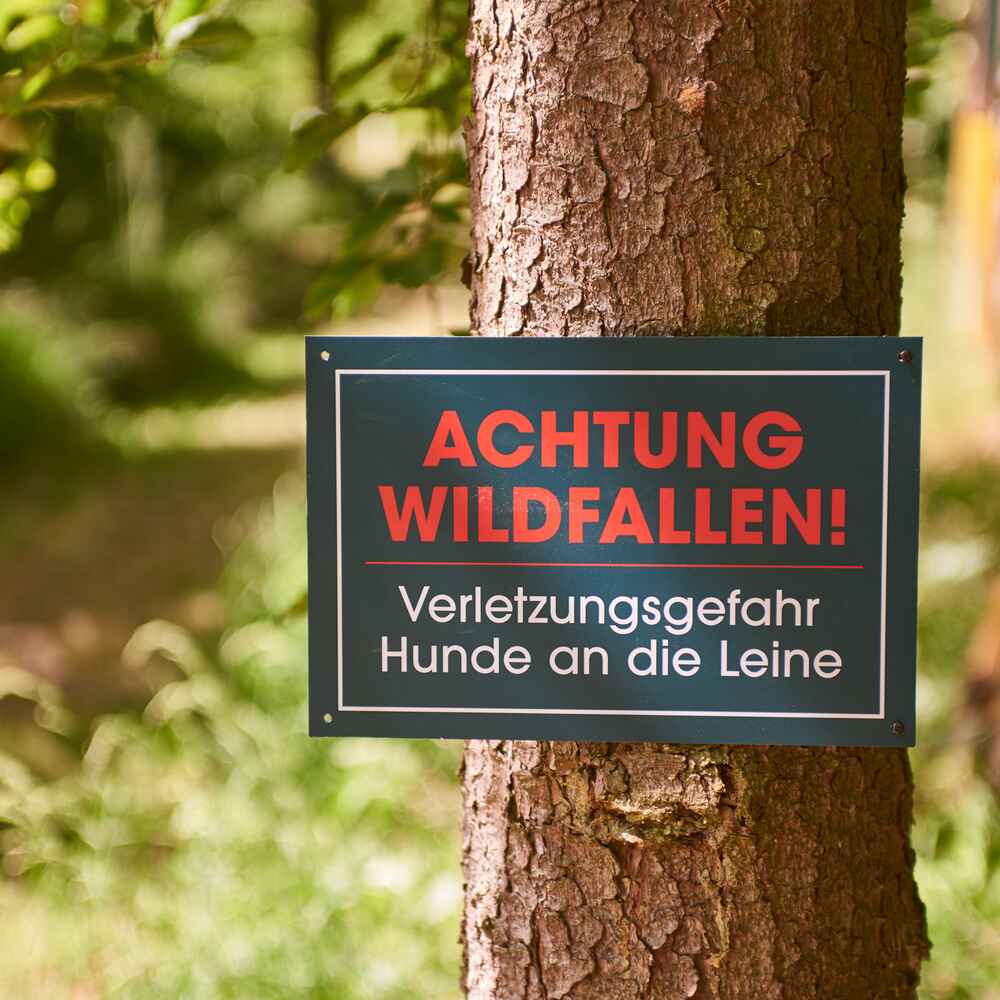 Wald & Forst Warnschild – Achtung Wildfallen - Revierausstattung -  Jagdbedarf - Ausrüstung - Jagd Online Shop