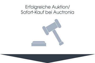Erster Schritt Erfolgreiche Auktion oder Sofortkauf bei Auctronia