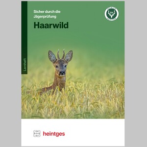 Lernsystem Haarwild