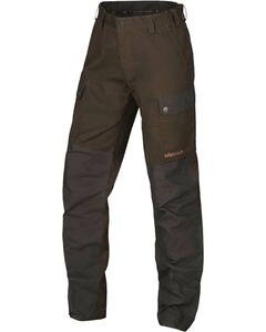 Hose Asmund