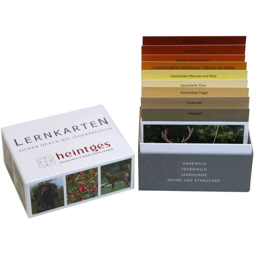 Learning system, Heintges Test Cards for Hunting (Heintges Lernkarten Jagd), Heintges