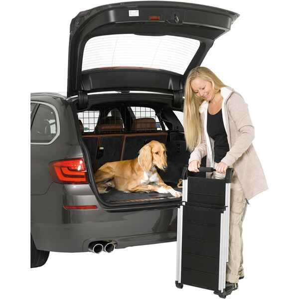 kleinmetall HundeEinstiegshilfe DogWalk3 (Standard) Hundetransport