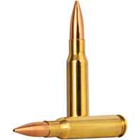 .308 Win. Premium Gold Medal Sierra Match King 10,9g/168grs., Federal Ammunition