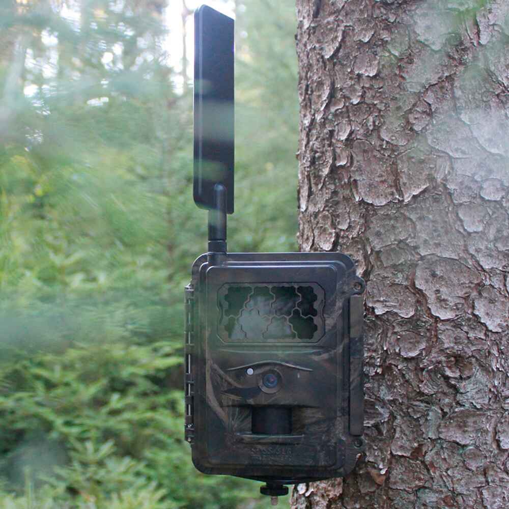 Wildkamera Special-Cam LTE , SEISSIGER