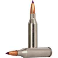 .243 Win. Premium Nosler Ballistic V-Shok 4,6g/70grs., Federal Ammunition