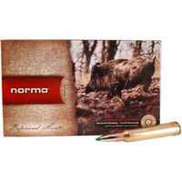 .300 Win. Mag. Ecostrike 10,7g/165grs., Norma
