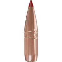 .300 Win. Mag. Outfitter CX 11,7g/180grs., Hornady