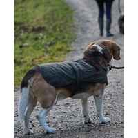 Hundemantel Quilted, Barbour