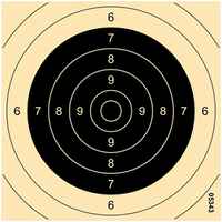 Sports pistol targets, Precision, braun-network